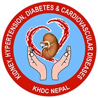 Strengthening Integrated Primary Health Care for Non Communicable Disease Management: Discussion and Dissemination programme